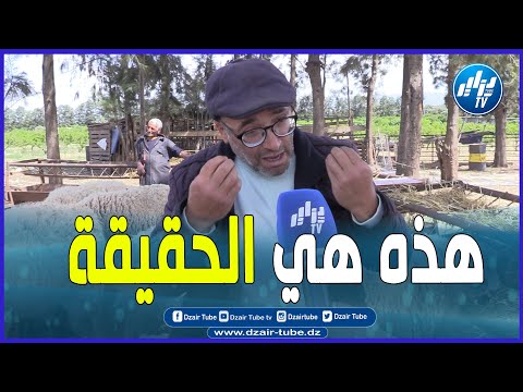 شااااهد.."أنا نقلكم الحقيقة".موال بخبرة 40 سنة يهدر مليييح ..هكذا فسر واقع تربية المواشي في الجزائر