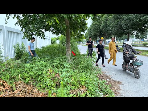 The woman did not believe that the overgrown sidewalk had disappeared so quickly