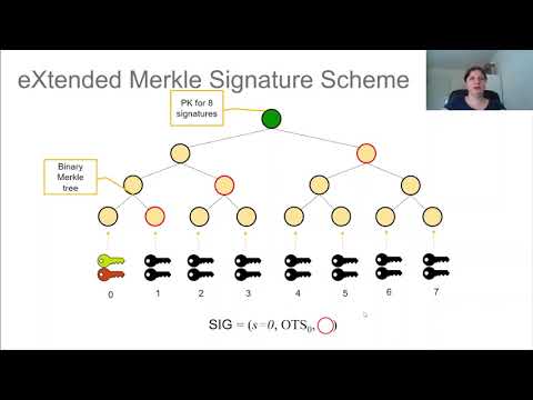 Rapidly Verifiable XMSS Signatures