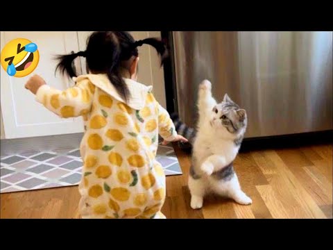 Funny animals videos of Cats🐈 and Dogs🐕2025 #10 | Try Not To Laugh 😂