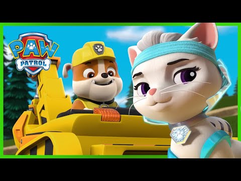 Cat Pack, Moto Pups and Much More 😸🏍 | PAW Patrol Compilation | Cartoons for Kids