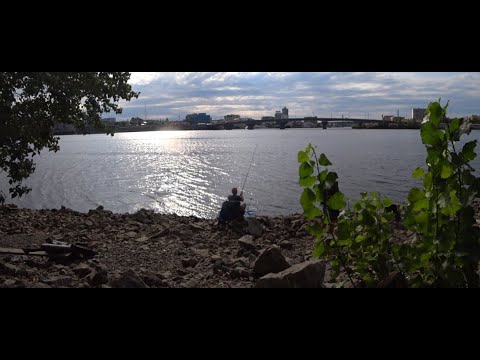 #рыбалкафидер#    Ловля леща на фидер 09.07.2022  Подарки от хорошего человека!