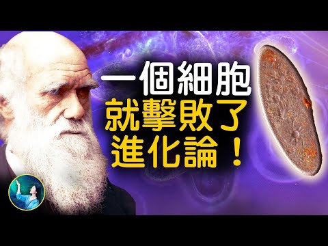 最簡單的生命 擊破了進化論？！被科學界捧上天的生命共同祖先，根本不存在？！｜ #未解之謎 扶搖