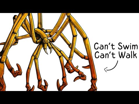 Why it Sucks To Be Born As a Sea Spider
