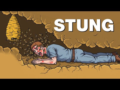 The Most Unexpected Cave Incidents Ever