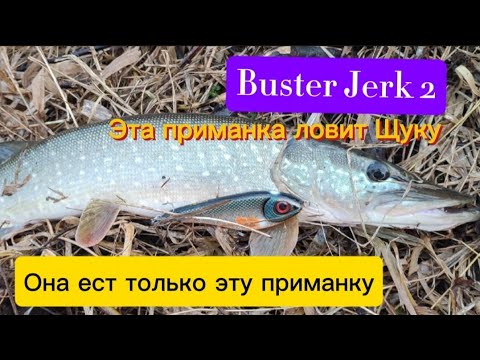 Strike Pro Buster Jerk II Эта приманка ловит Щуку. Она ест только эту приманку. Рыбалка Москва-река.