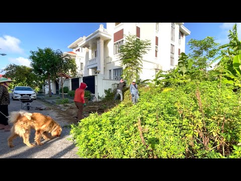 A Shocking Sidewalk Cleanup: Hidden Dangers for Kids & Elderly — Extreme Transformation. #cleanup