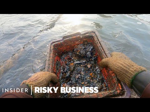 How Rust Collectors In Indonesia Risk Their Lives To Survive | Risky Business