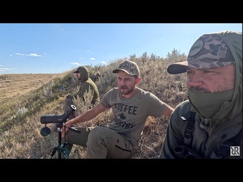 Canada Mule Deer Spot and Stalk Bow Hunt