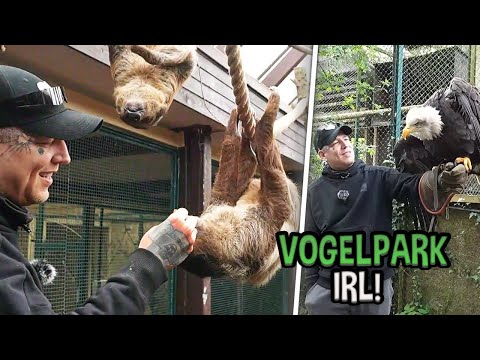 FAULTIERE FÜTTERN & von Vogel GEBISSEN! 😱 LIVE aus dem Vogelpark ft. Giggsen | MontanaBlack IRL