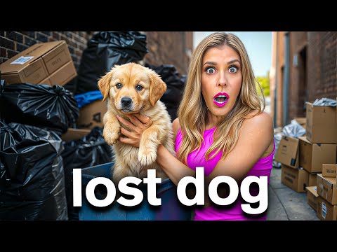 We Found a Lost Dog All Alone