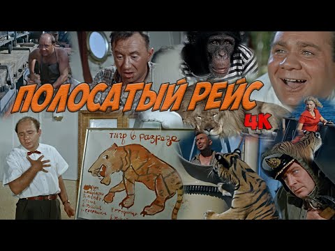 Полосатый рейс (1961) - комедия, лидер кинопроката. Реставрация, 4К. Кинопоиск: 8.0 топ 250.