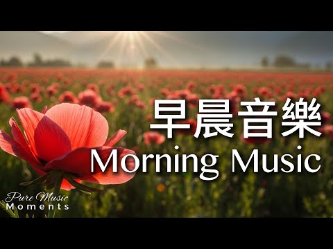 🌸晨光輕灑,小花輕舞,帶來好運與希望 | 柔和鋼琴音樂 水晶音樂 | 中間無廣告 | 放鬆音樂 Relaxing Music 1 Hour | 早晨音樂 Morning Music
