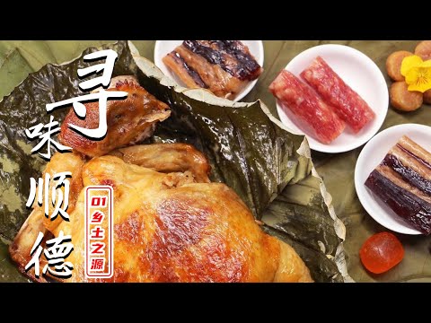 纪录片《寻味顺德》EP01：乡土之源【ENG SUB】A Bite of Shunde EP01