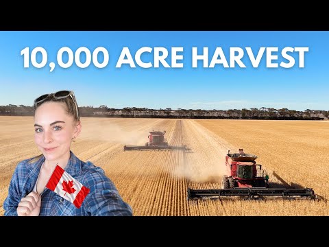 From Canada to an Australian Farm | Our 10,000 Acre Harvest