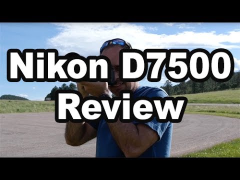 D7500 Review (Plus Comparison Vs D7200 and D500)