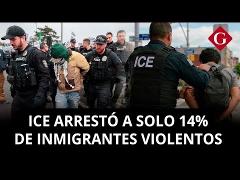 ICE arrestó menos del 14% de inmigrantes violentos en su operativo más amplio | Gestión