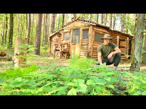 Harvesting in my Forest Garden, Large Wooden Fence for my Forest Area From Wild Animals - Ep. 2