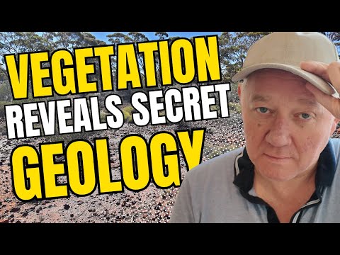 Discovering Geology Through Vegetation: Unveiling Secrets from the Australian Gold Fields
