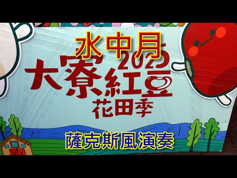 水中月 / 黃乙玲 / 次中音薩克斯風演奏Key：Ab