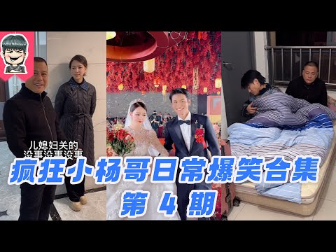 🔥【瘋狂小楊哥日常爆笑合集】 第4期  #疯狂小杨哥 #日常 #搞笑 #小杨哥头号粉丝 #瘋狂小楊哥