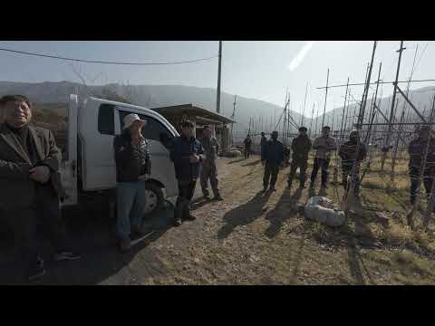 밀양 얼음골 사과 연구회 밀식과원 전지전정 교육 01