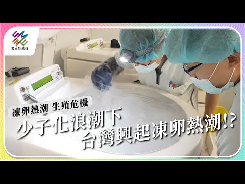 少子化浪潮下，台灣興起凍卵熱潮！｜凍卵熱潮 生殖危機｜公視 #獨立特派員 第811集 20230726