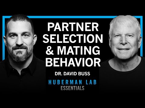 Essentials: How Humans Select & Keep Romantic Partners in the Short & Long Term | Dr. David Buss