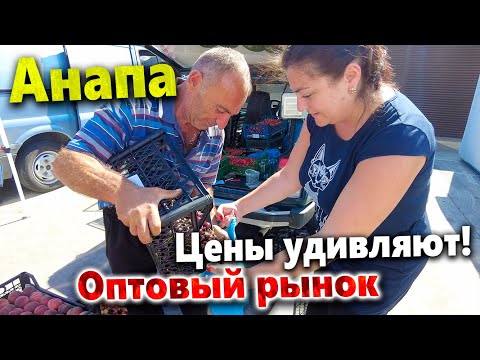 #Анапа ОПТОВЫЙ РЫНОК НА КОЛЬЦЕВОЙ. Я ОЖИДАЛ БОЛЬШЕГО.