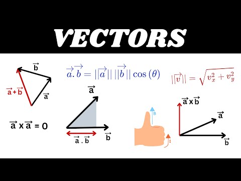 Everything You Need To Know About Vectors - Part-1