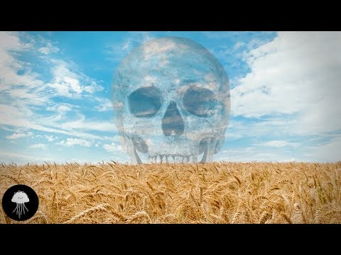 Mankind's worst mistake (agriculture) - DBY #55