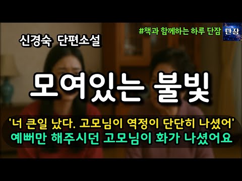 [잠자며 듣는 한국 소설] 너 큰일 났다. 고모님이 역정이 단단히 나셨어 예뻐만 해주시던 고모님이 화가 나셨어 "모여있는 불빛" 신경숙 소설 #책읽어주는남자 #책과함께하는하루단잠
