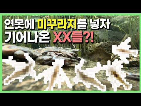 The people who requested that are pouring in!!