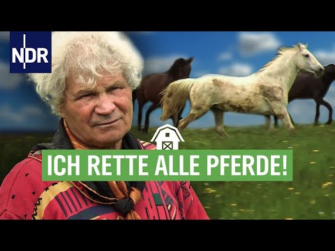 Tierretter in der Wesermarsch | die nordstory | NDR