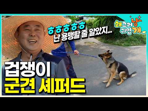 I brought home a shepherd dog from the military, thinking he would be brave... │#Whyishesocute