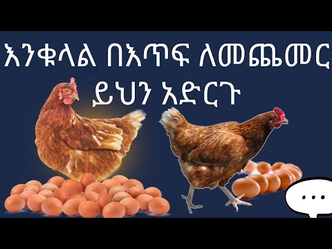 እንቁላል በእጥፍ ለመጨመር ይህን አድርጉ!