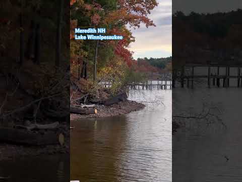 #lakelife #meredith #newhampshire #shorts #youtubeshorts #travel #destination #yolo #winnipesaukee