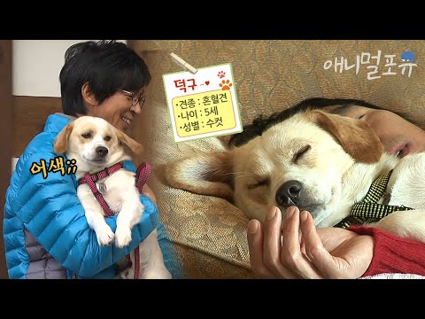 태어나 처음 느껴보는 주인의 품! 경계심 많던 유기견 덕구가 김국진에게 보인 놀라운 행동 🐶 l KBS 남자의 자격 101121 방송