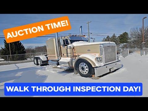 AUCTION TIME! INSPECTION DAY! WHAT CAN WE BUY?