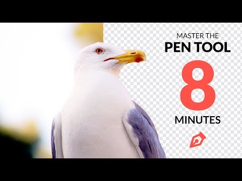 Master the Pen Tool in Under 8 Minutes (Photoshop)
