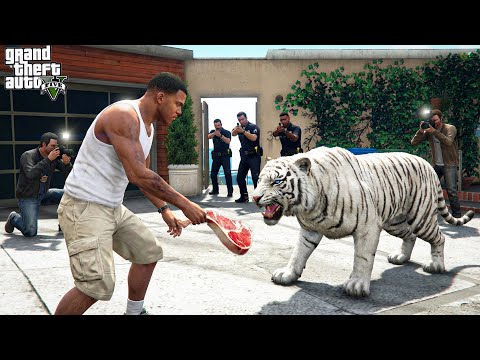Franklin Tries To Catch The New Rare White Tiger In Gta 5 ! (GTA 5 mods)