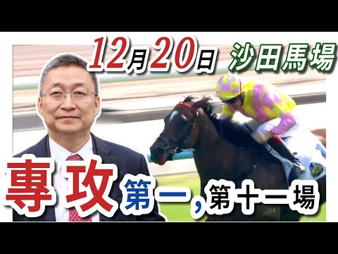 專攻 第一場 ,單棍 第十一場  | 梁西華講馬經(2025年12月20日)賽馬粵語旁述 | 馬迷交流 | 沙田草地日賽 香港賽馬