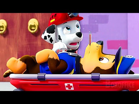 Doctor Marshall takes care of Chase! | Marshall Best Scenes from PAW Patrol 🌀 4K
