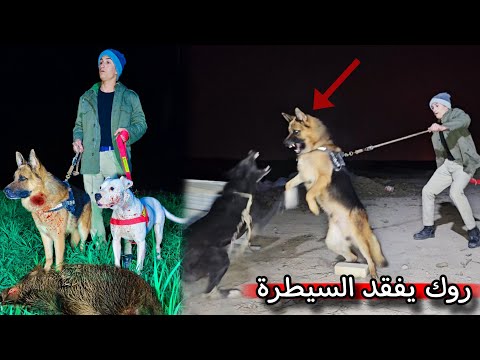 العودة بعد غياب _ سبب اختفاء صلبوخ _ موت جراء كلبتي لوسي !! 🔥😨