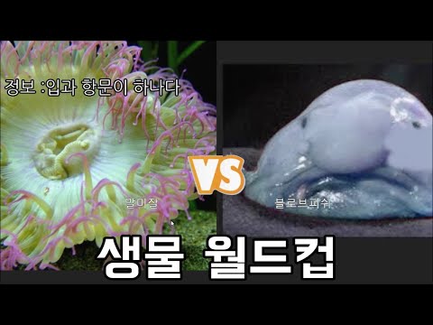 다음생에 태어나고 싶지않은 생물 월드컵