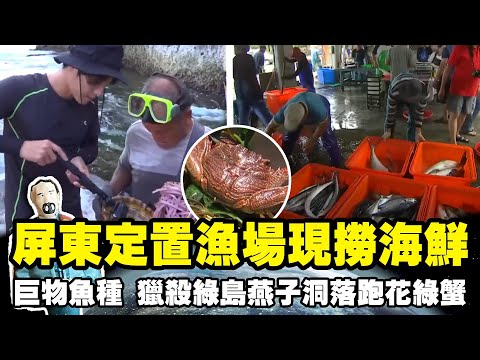 【世界海鮮展】屏東定置漁場現撈海鮮 石斑、海鱺魚、鬼頭刀... 獵殺綠島燕子洞落跑花綠蟹｜《世界第一等》濃縮精華版