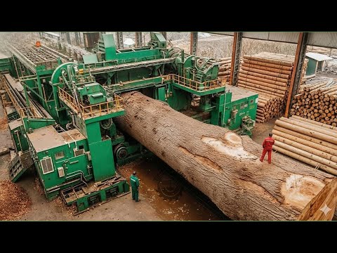 Inside the Largest Wood Sawmill Factory – How Plywood Is Made From Logs to Table (Full Process)