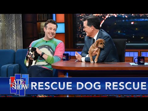Rescue Dog Rescue with Jason Sudeikis