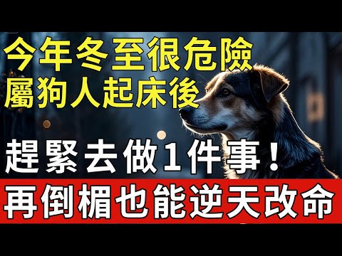 今年冬至很危險！屬狗人起床後，趕緊去做1件事！再倒楣也能逆天改命！|福運生肖 #生肖 #運勢 #風水 #財運 #命理