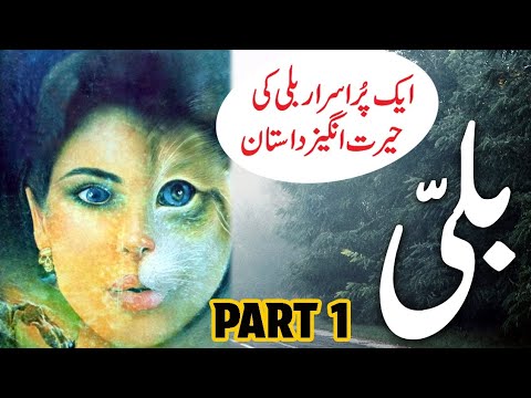 Aik Billi Ki Kahani | Urdu Hindi Horror Story Part 1